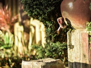 Zacona Eco-Resort and Biblical Garden