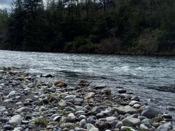 OPORTUNIDAD:  Parcela con Playa de Rio en Futrono
