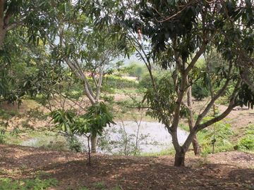 VENTA FINCA SECTOR LA MESA