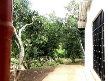 VENTA FINCA SECTOR LA MESA