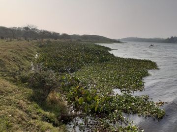 Excelente terreno a orilla del rio La Antigua
