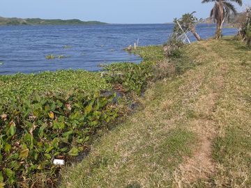 Excelente terreno a orilla del rio La Antigua