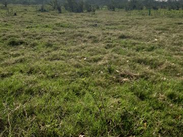 Excelente terreno a orilla del rio La Antigua