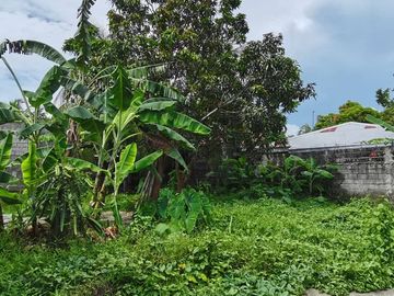 For sale House & Lot Bacolod