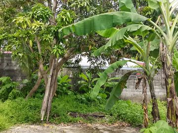 For sale House & Lot Bacolod