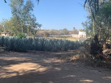Venta de Excelente terreno sobre carretera 16 km de ZMG a desviación Ameca  Agrícola industrial sobre autopista
