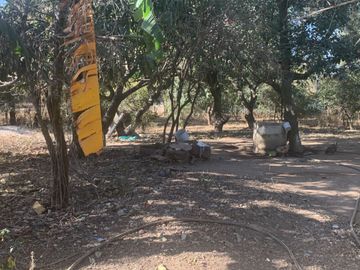 Venta de Excelente terreno sobre carretera 16 km de ZMG a desviación Ameca  Agrícola industrial sobre autopista