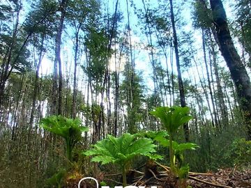 Venta de Parcela en Parque Volcanes, Ensenada, Puerto Varas