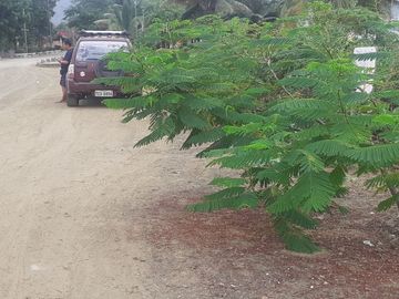 @Discover a Prime Investment Opportunity in Puerto Lopez Ecuador A 47.707 Coastal Paradise