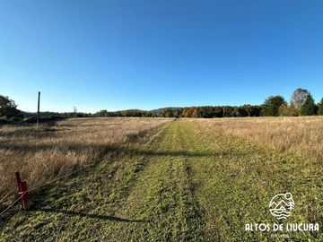 Parcelas en Venta en Altos de Liucura, Paillaco, Región de Los Ríos.