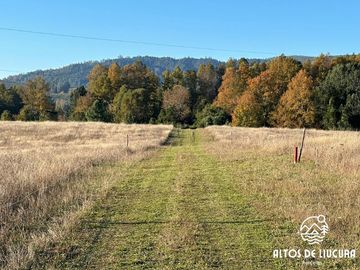 Parcelas en Venta en Altos de Liucura, Paillaco, Región de Los Ríos.
