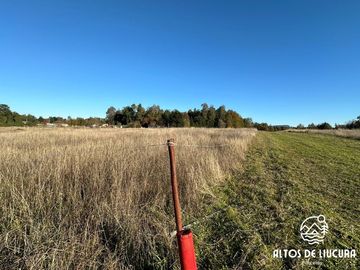 Parcelas en Venta en Altos de Liucura, Paillaco, Región de Los Ríos.