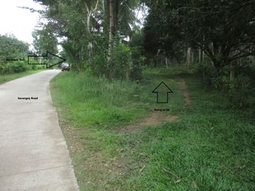AGRI-RESIDENTIAL LOT FOR SALE IN ORACON, NUEVA VALENCIA, GUIMARAS
