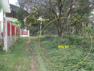 AGRI-RESIDENTIAL LOT FOR SALE IN ORACON, NUEVA VALENCIA, GUIMARAS