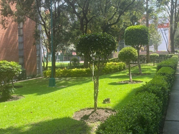 Hermoso departamento en Venta,  excelente ubicación, Insurgentes Sur