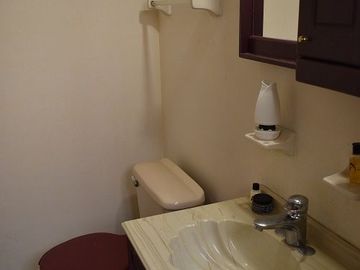 Departamento en Venta en Miguel Shultz, Colonia San Rafael Cuauhtémoc