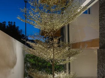 Brandnew 3 Level Modern Designed House with  Pool & Mountain View located @ Tivoli Royale Country Club Subd, Matandang Balara, QC