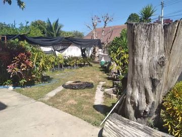 Urgent sale!! House with land, beautiful location, cheap price, area 113 square wa, price 2,590,000 baht, Nong Han Subdistrict, San Sai District, Chia