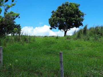 Tagaytay City Tolentino West Lots for Sale near Anya Resort and Residences