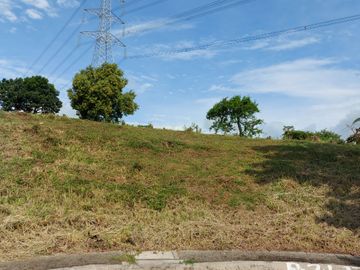 350 sqm Lot for Sale at Manila Southwoods Peak V near Pahara