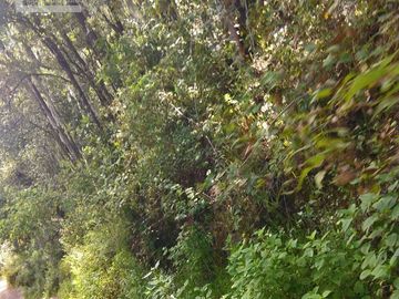 Hermoso Terreno en Atotonilco el Grande $70 el m2 zona boscosa