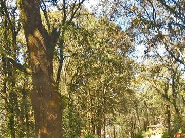 Hermoso Terreno en Atotonilco el Grande $70 el m2 zona boscosa