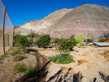 Parcela con casa, piscina y dos cabañas. Potencial turístico. Varillar, Valle del Elqui. $280 millones