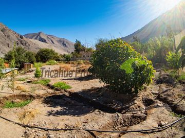 Parcela con casa, piscina y dos cabañas. Potencial turístico. Varillar, Valle del Elqui. $280 millones