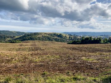 Campo de 87,6 hectáreas colindante a carretera, con río y a 15 min de Los Muermos