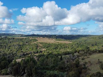 Campo de 87,6 hectáreas colindante a carretera, con río y a 15 min de Los Muermos