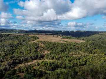 Campo de 87,6 hectáreas colindante a carretera, con río y a 15 min de Los Muermos