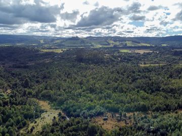 Campo de 87,6 hectáreas colindante a carretera, con río y a 15 min de Los Muermos