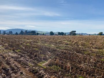 Campo de 87,6 hectáreas colindante a carretera, con río y a 15 min de Los Muermos
