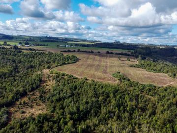 Campo de 87,6 hectáreas colindante a carretera, con río y a 15 min de Los Muermos