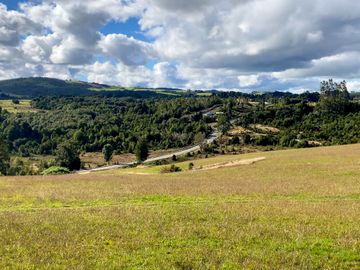 Campo de 87,6 hectáreas colindante a carretera, con río y a 15 min de Los Muermos