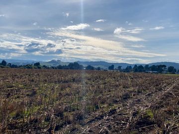 Campo de 87,6 hectáreas colindante a carretera, con río y a 15 min de Los Muermos