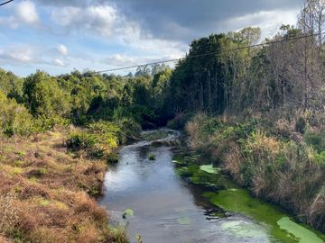 Campo de 87,6 hectáreas colindante a carretera, con río y a 15 min de Los Muermos