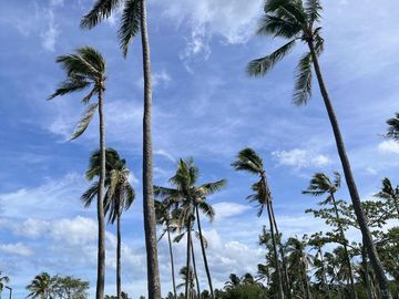 1 Bedroom Pre Selling Condotel in Solmera Coast 𝐅𝐢𝐫𝐬𝐭 𝐍𝐚𝐭𝐮𝐫𝐞-𝐈𝐧𝐬𝐩𝐢𝐫𝐞𝐝 𝐁𝐄𝐀𝐂𝐇 𝐏𝐀𝐑𝐊 in San Juan Batangas