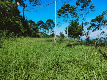 Dijual Tanah Cocok Untuk Camping Ground Kemuning