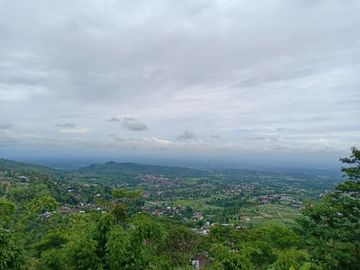 Dijual Tanah Cocok Untuk Camping Ground Kemuning