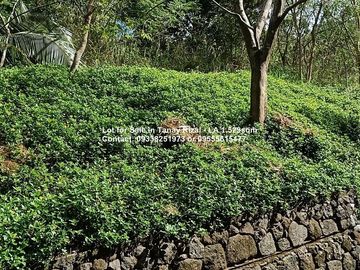 Lot for Sale in Tanay Rizal
