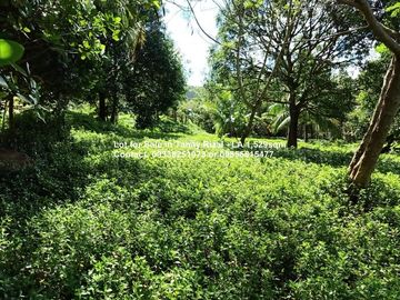 Lot for Sale in Tanay Rizal