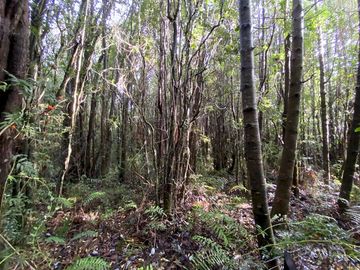 Parcela Country Pucon condominio privado con acceso privilegiada al lago