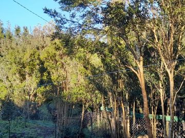 SE VENDE PROPIEDAD EN PUNTA QUIHUA, CALBUCO