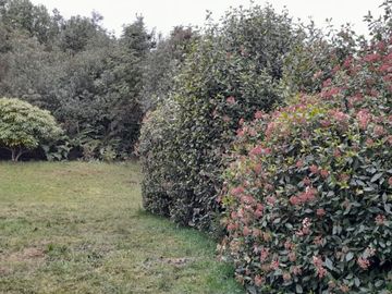 SE VENDE PROPIEDAD EN PUNTA QUIHUA, CALBUCO