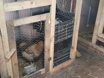 SE VENDE PROPIEDAD EN PUNTA QUIHUA, CALBUCO