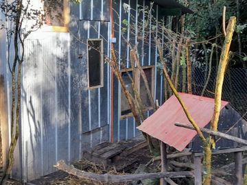 SE VENDE PROPIEDAD EN PUNTA QUIHUA, CALBUCO