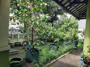 Rumah Murah di Ketintang 370 m2 Hanya 3,7 M Semi Furnish Siap Huni
