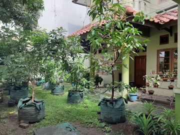 Rumah Murah di Ketintang 370 m2 Hanya 3,7 M Semi Furnish Siap Huni