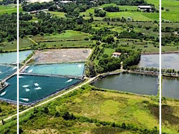 7 Hectare Land for Sale in Bago City, Negros Occidental